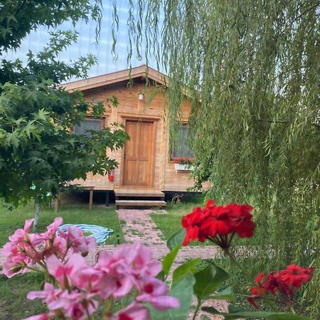 Inlice Uenzile Bungalow Inlice Kamp Fethiye Zewnętrze zdjęcie